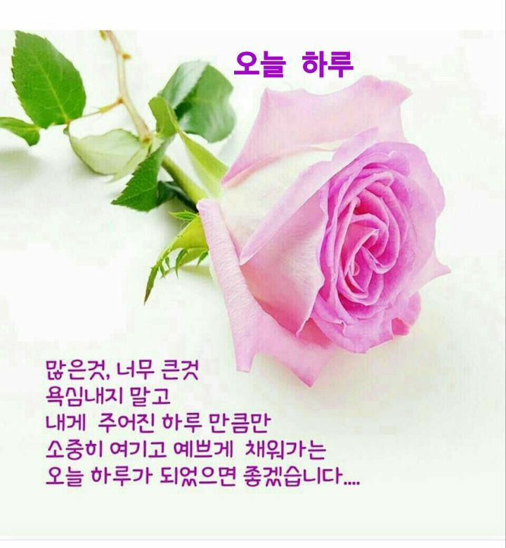 신동집 이미지