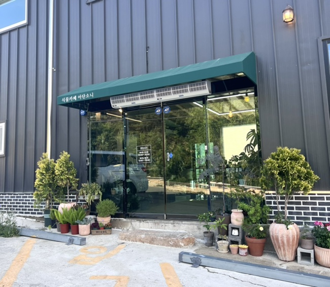 식물카페아단소니 이미지