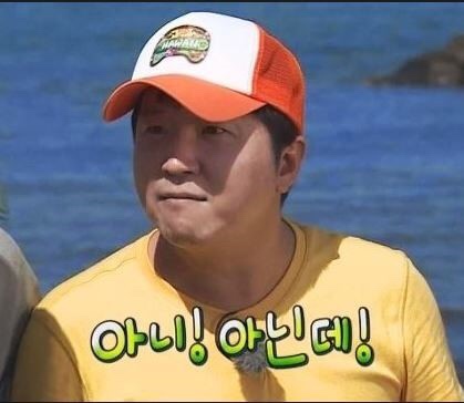 애리스 이미지