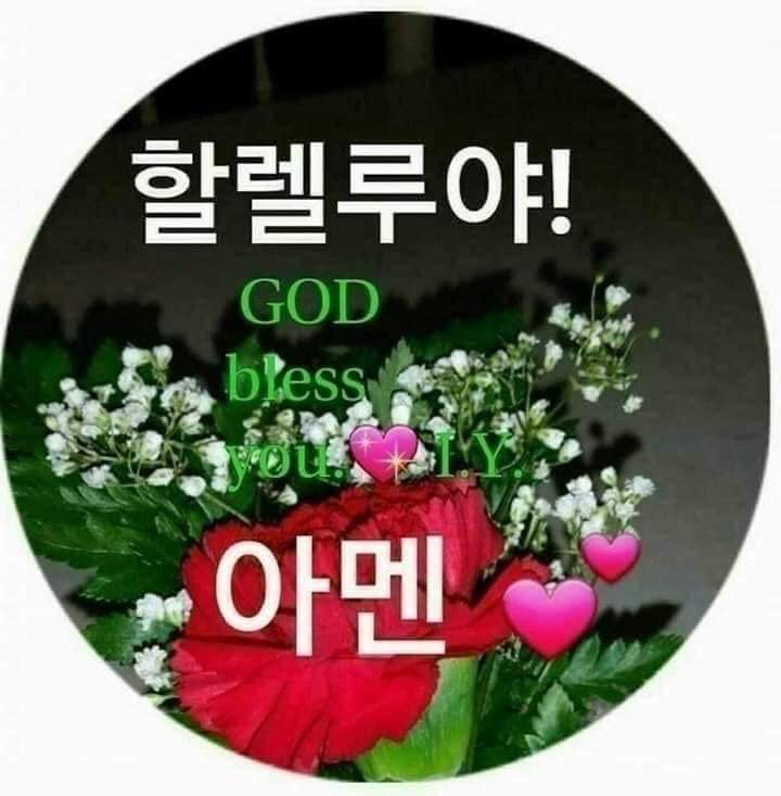 골드스타 이미지