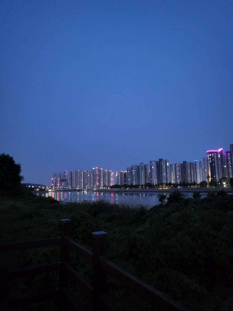 청개구리마미 이미지