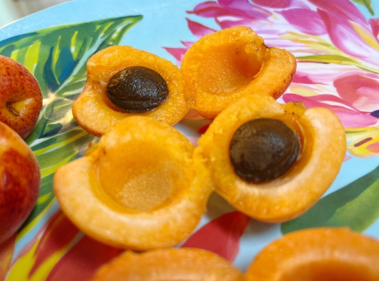 애프리코트(APRICOT) 이미지