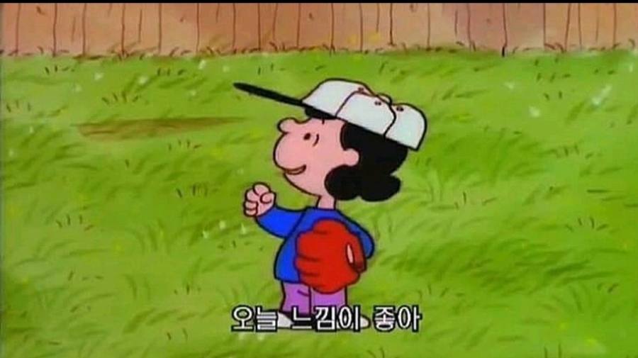 플라워시호 이미지