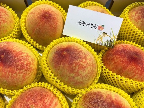 은주미가 이미지