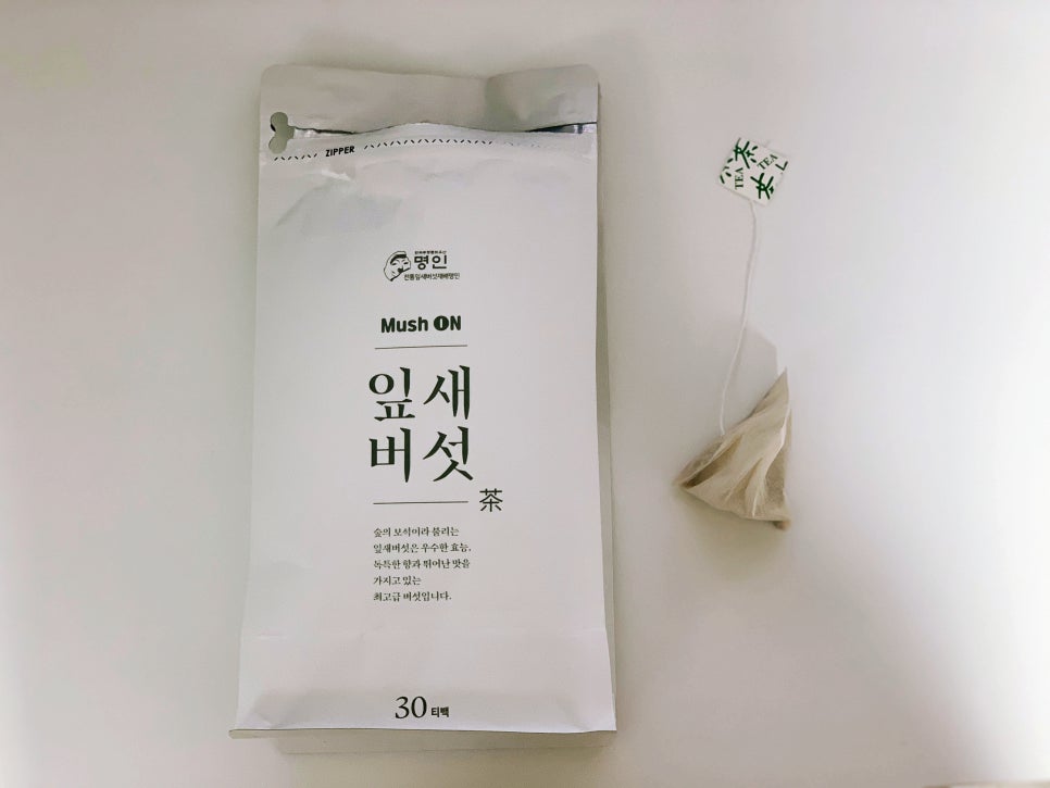 봄내다살이 이미지