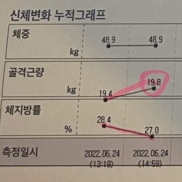 스파나무 이미지