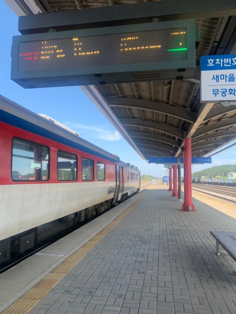 안젤라분식 이미지