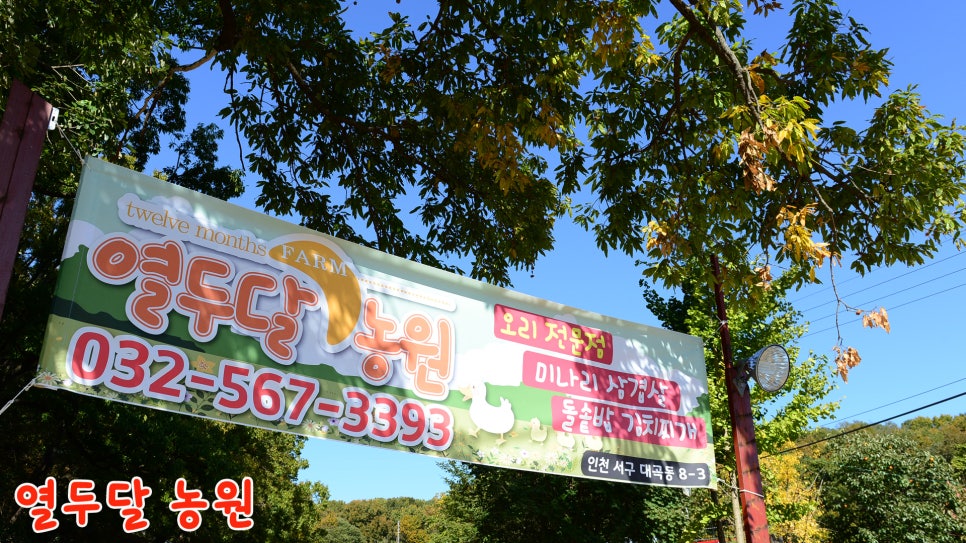 웰빙오리농원 이미지