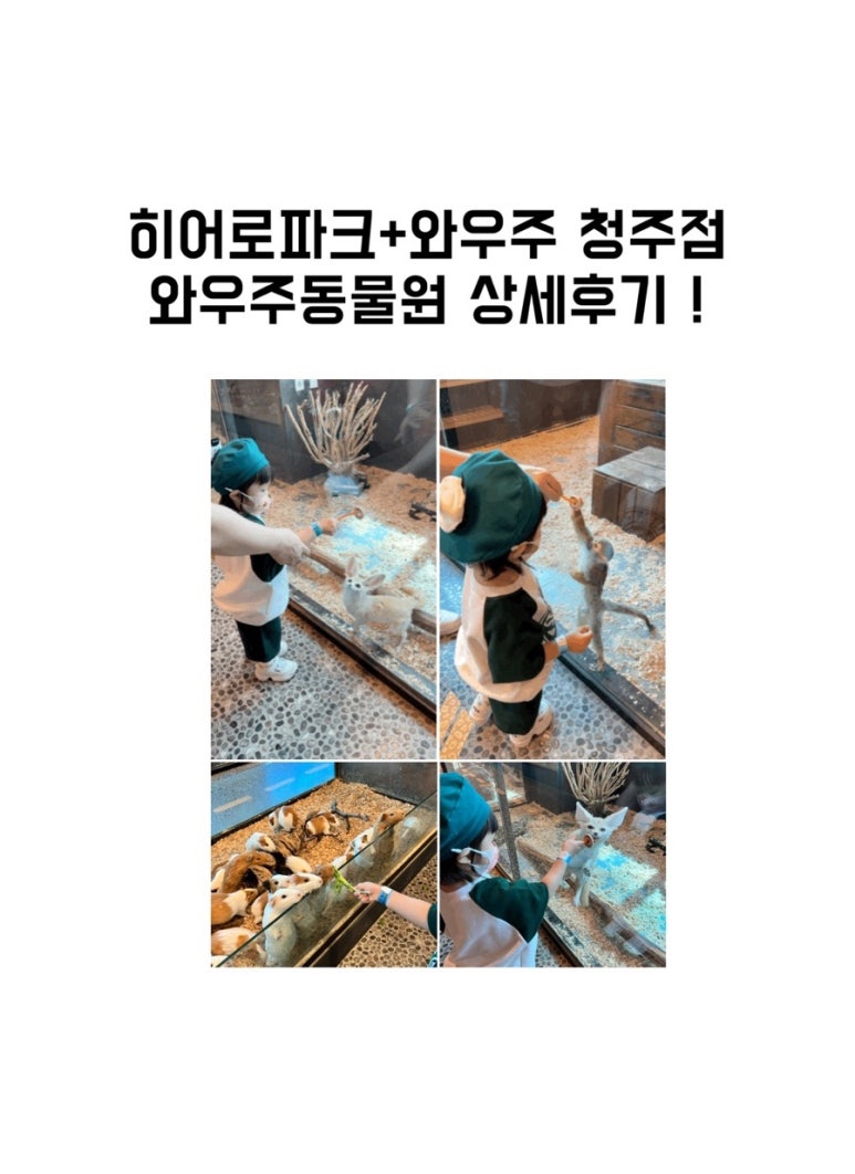 (주)히어로플레이파크청주 이미지