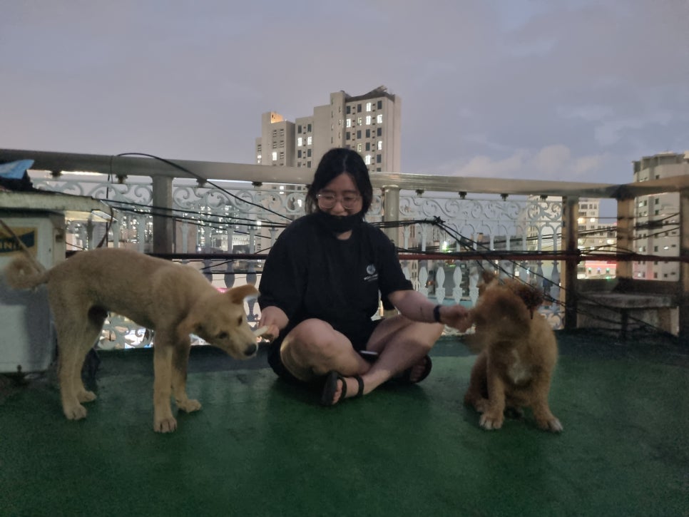 서교수선 이미지