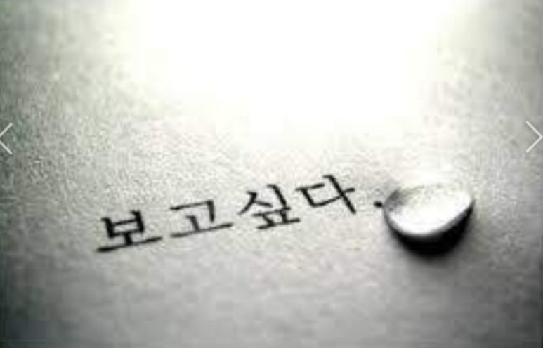 블루엠갤러리 이미지