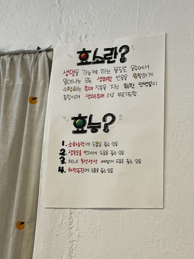 맹구효소꽈배기 이미지