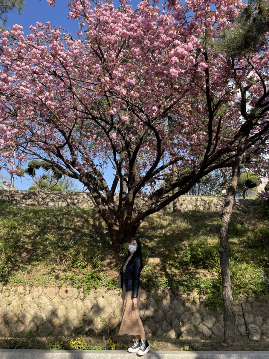 도토리스터디카페 이미지