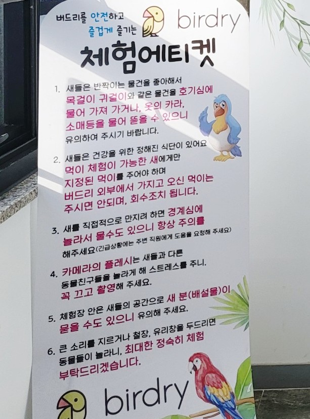 버드리전주 이미지