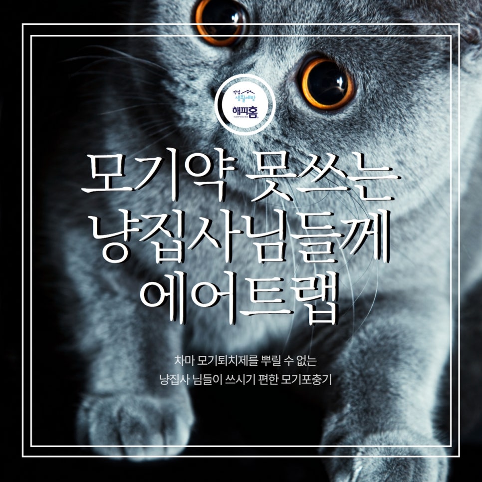 냥집사전기 이미지