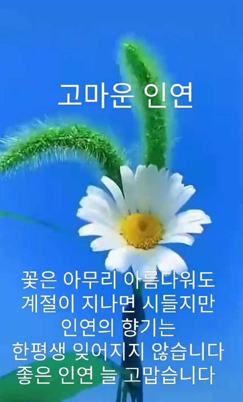 동방유통 이미지