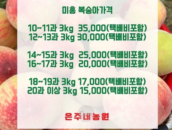 은주미가 이미지