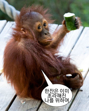 산수갑산식당 이미지