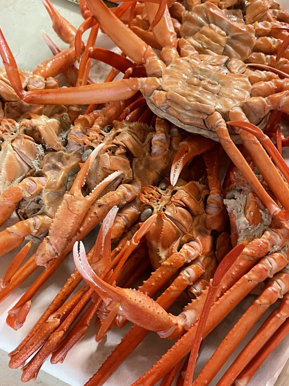 (주)내돈내산 이미지