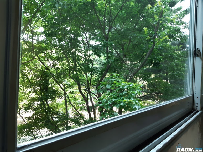 라온클린 이미지