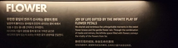 메타케이브 이미지