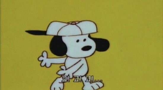 플라워시호 이미지