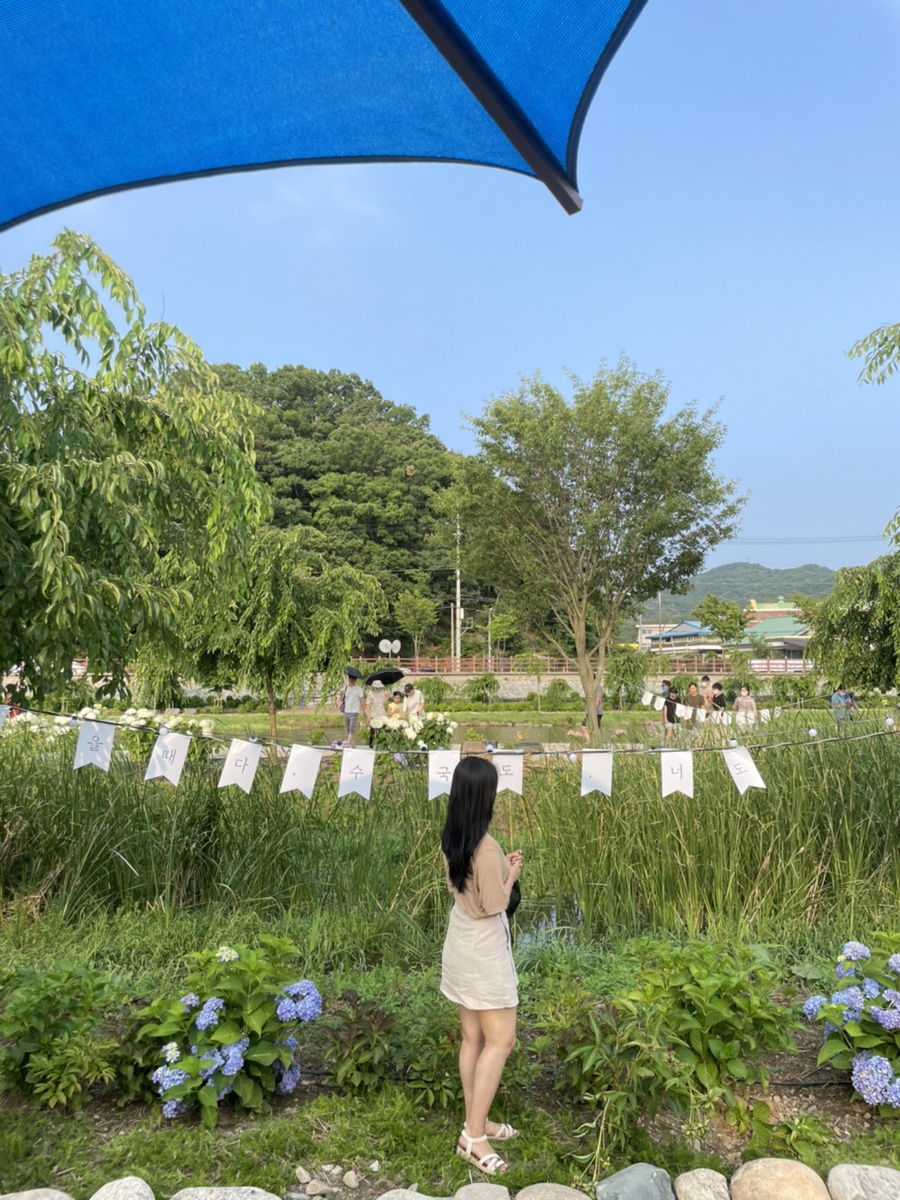 까페색동 이미지