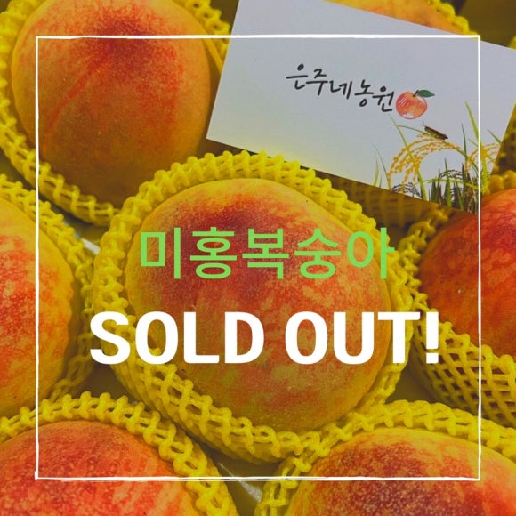 은주미가 이미지
