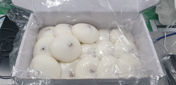 송화잔기지떡 이미지