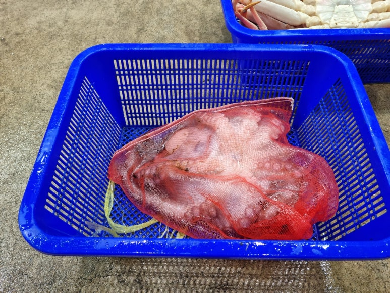 대운수산 이미지