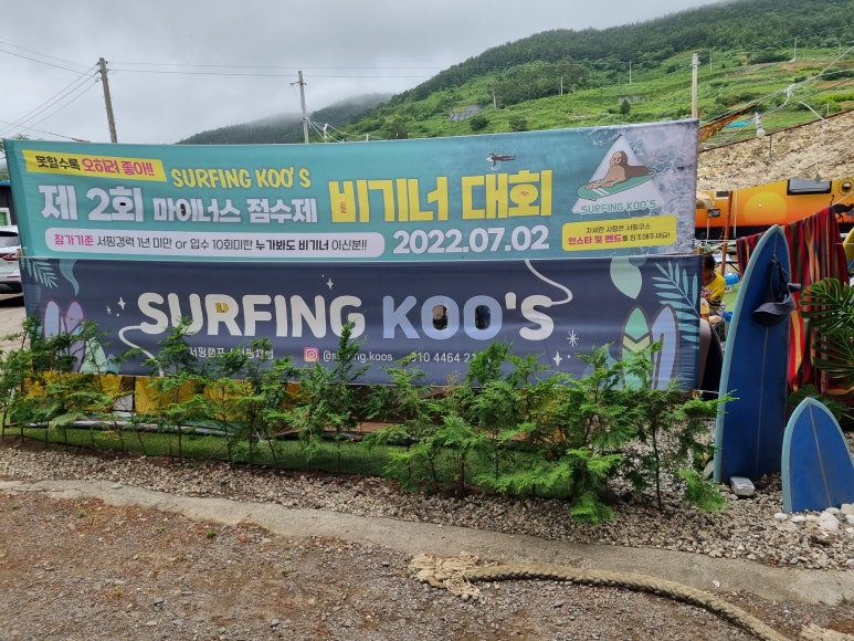 서핑쿠스 이미지