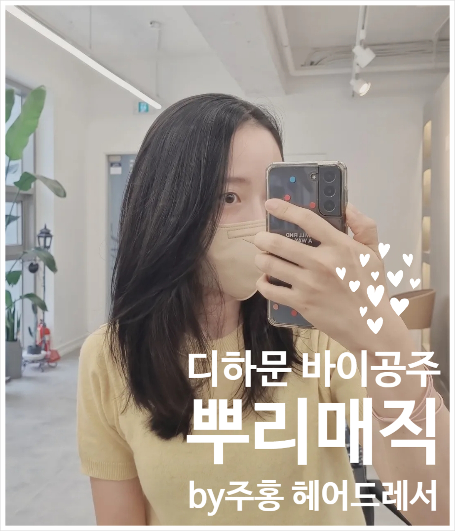 디하문바이공주 이미지