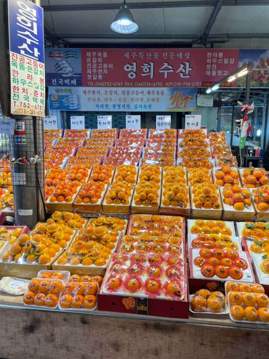 영희수산 이미지
