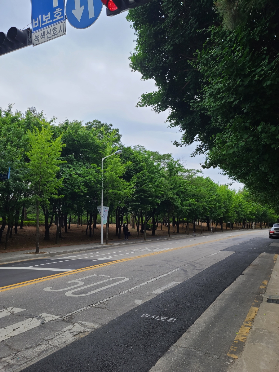플라워시호 이미지