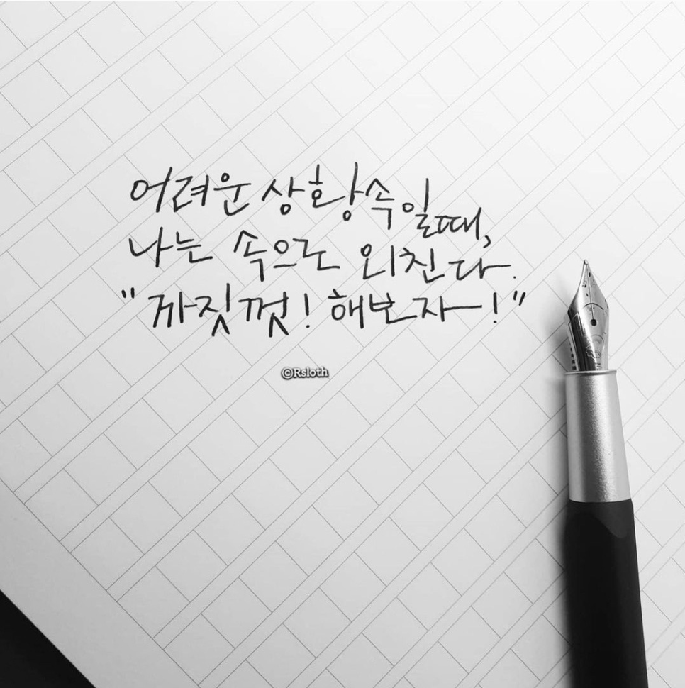 샤샤인셀덤 이미지