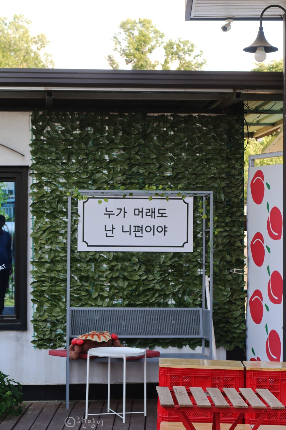 오야오얏 이미지