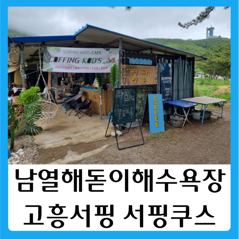 서핑쿠스 이미지