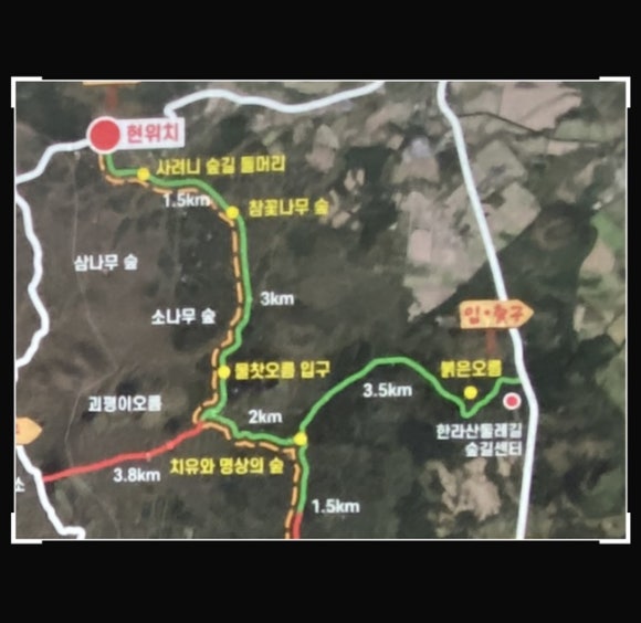 고기본색 이미지