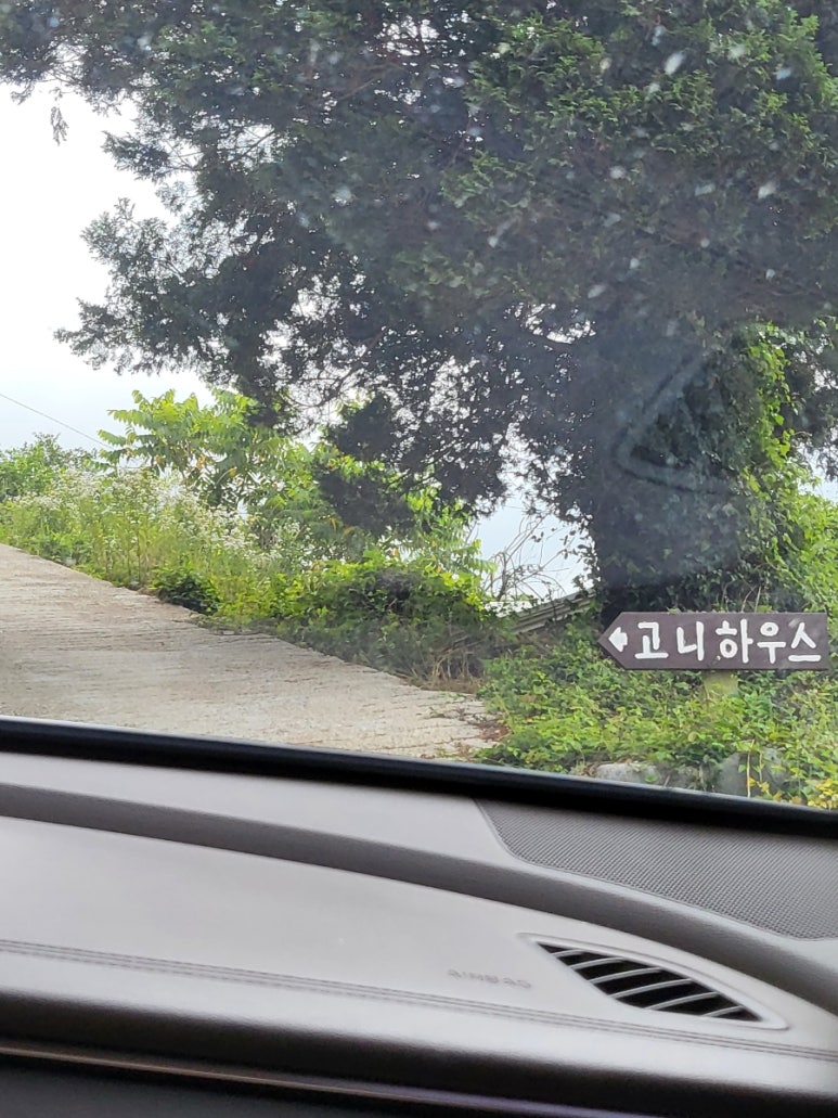 고니하우스 이미지