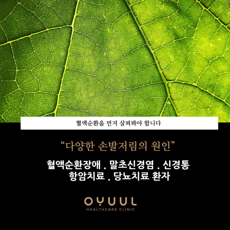 고려가정의학과의원 이미지