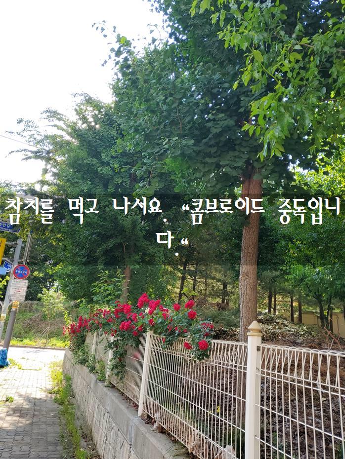 참치상점 이미지