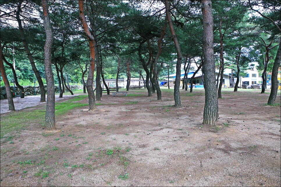 성보촌 캠핑장 이미지