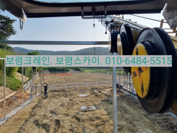 보령시승마훈련원 이미지