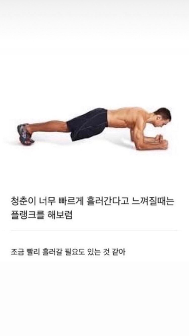 너울숲 이미지