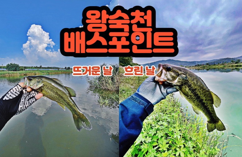 (주)코스모스제과 이미지