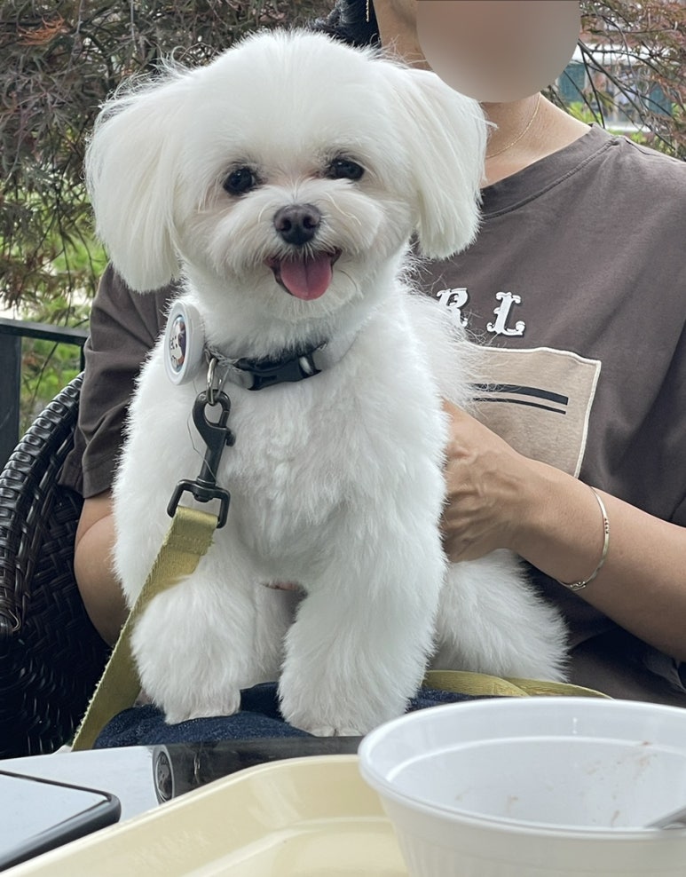 카페 엘(CAFE L) 이미지