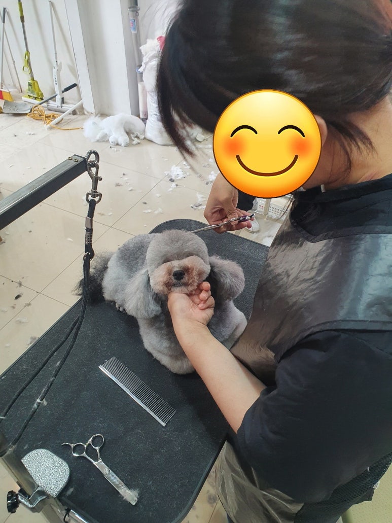 김성균애견미용학원 이미지