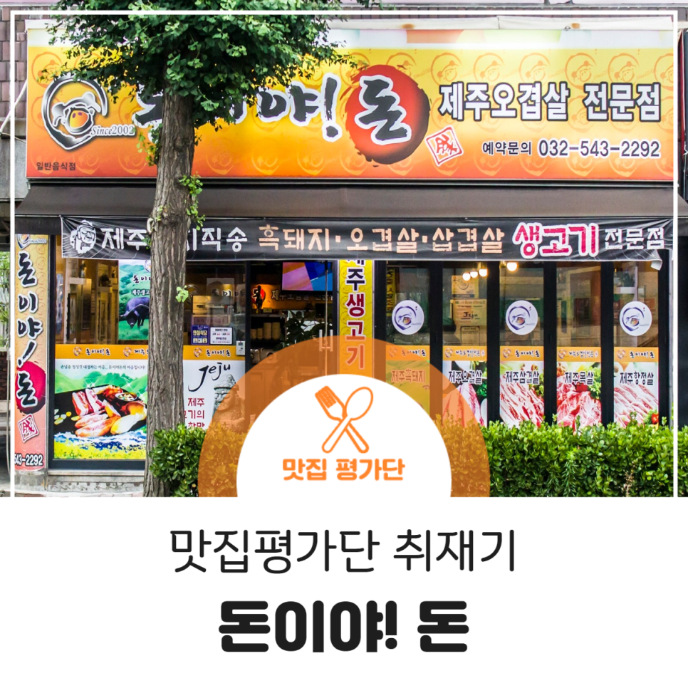 돈이야돈 이미지