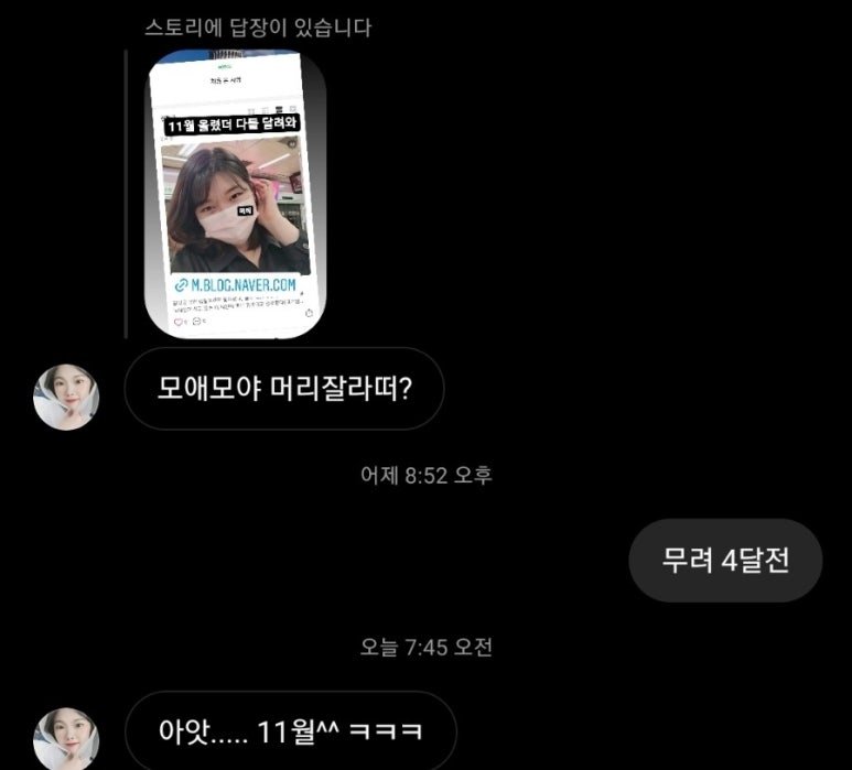 진시스 이미지
