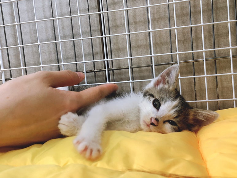 아이뚜리 이미지